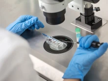 A technician does control check of the in vitro fertilization process using a microscope.