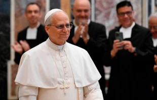Pope Leo XIV meets with the Brothers of the Christian Schools on May 15, 2025, at the Vatican. Credit: Vatican Media
