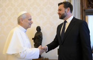 Pope Leo XIV shakes hands with U.S. President JD Vance in the papal library. The two had a private encounter before they were joined by U.S. Secretary of State Marco Rubio on May 19, 2025. Credit: Vatican Media